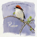 Robe - Lo Que Aletea En Nuestras Cabezas (LP)