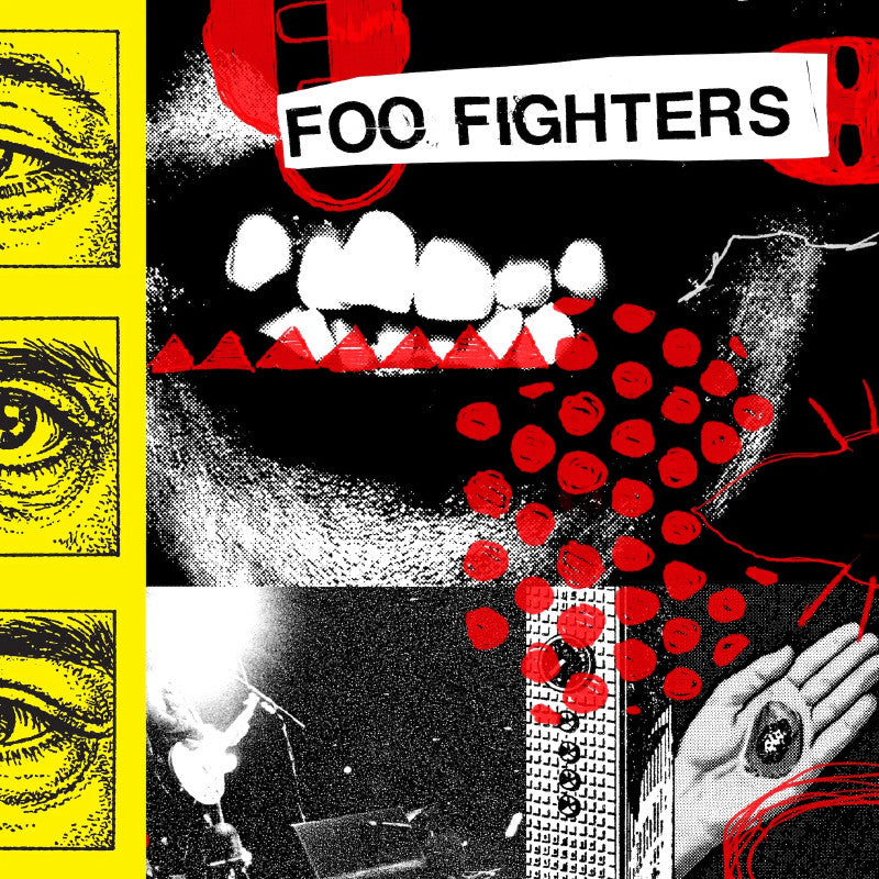 Foo Fighters - Your Favorite Toy (Black LP)